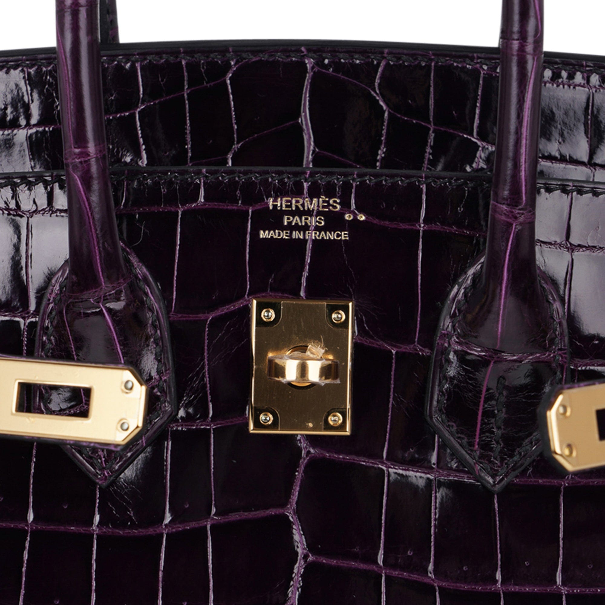 Birkin 25 Bag Aubergine Niloticus Crocodile with Gold Hardware