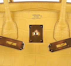 Birkin 30 Bag Mimosa Matte Alligator Gold Hardware