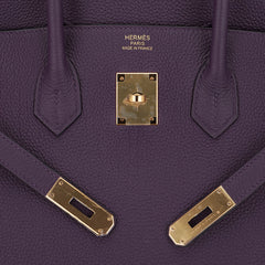 Birkin 35 Bag Raisin Togo Leather with Gold Hardware
