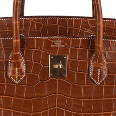 Birkin 40 Bag Rare Fauve Matte Porosus Crocodile Gold Hardware