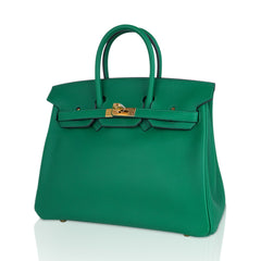 Birkin 25 Bag in Cactus Swift Leather with Gold Hardware