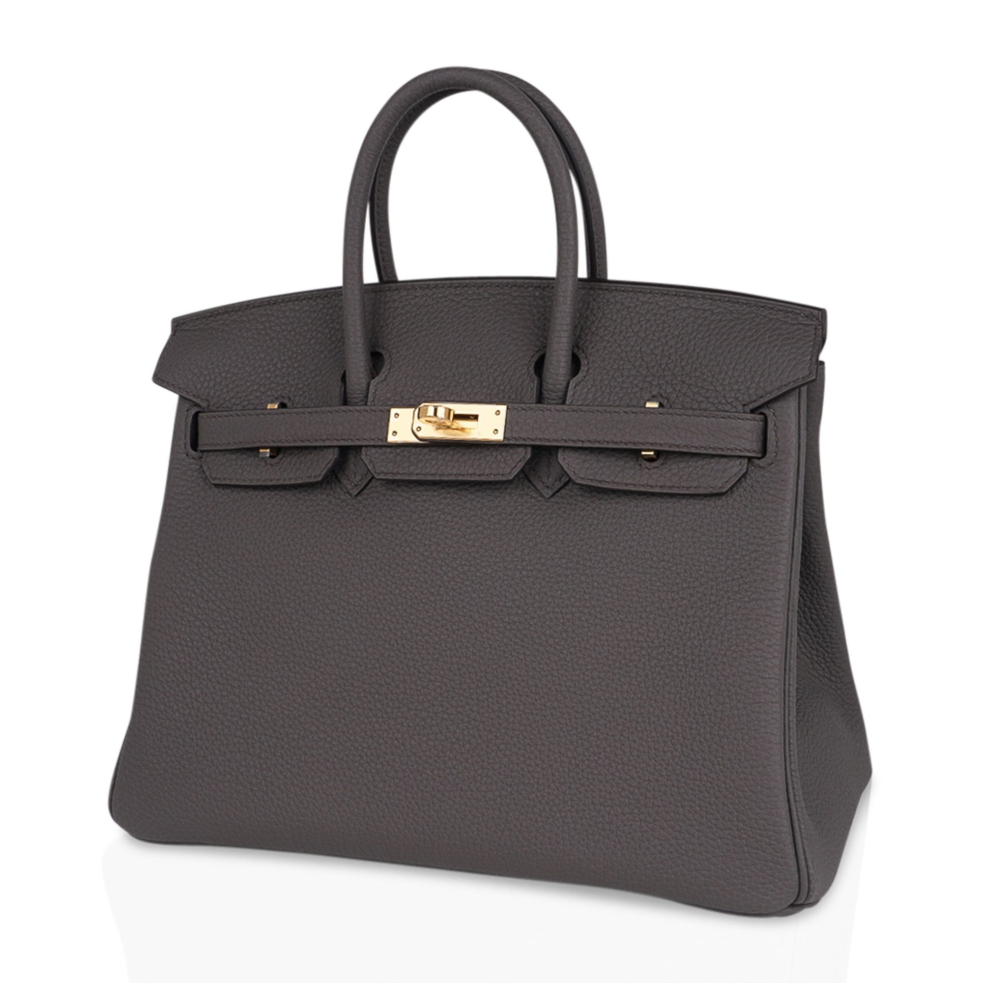 Birkin 25 Bag Etain Gold Hardware Togo Leather New w/Box
