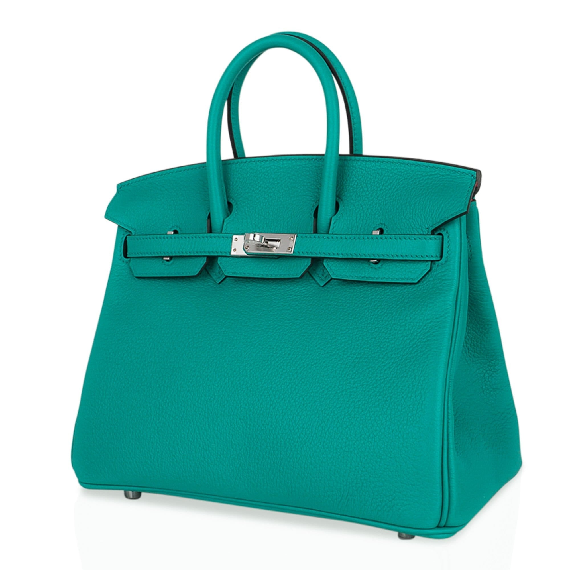 Verso Birkin 25 Bag Vert Verone & Rose Lipstick Novillo Leather with Palladium Hardware