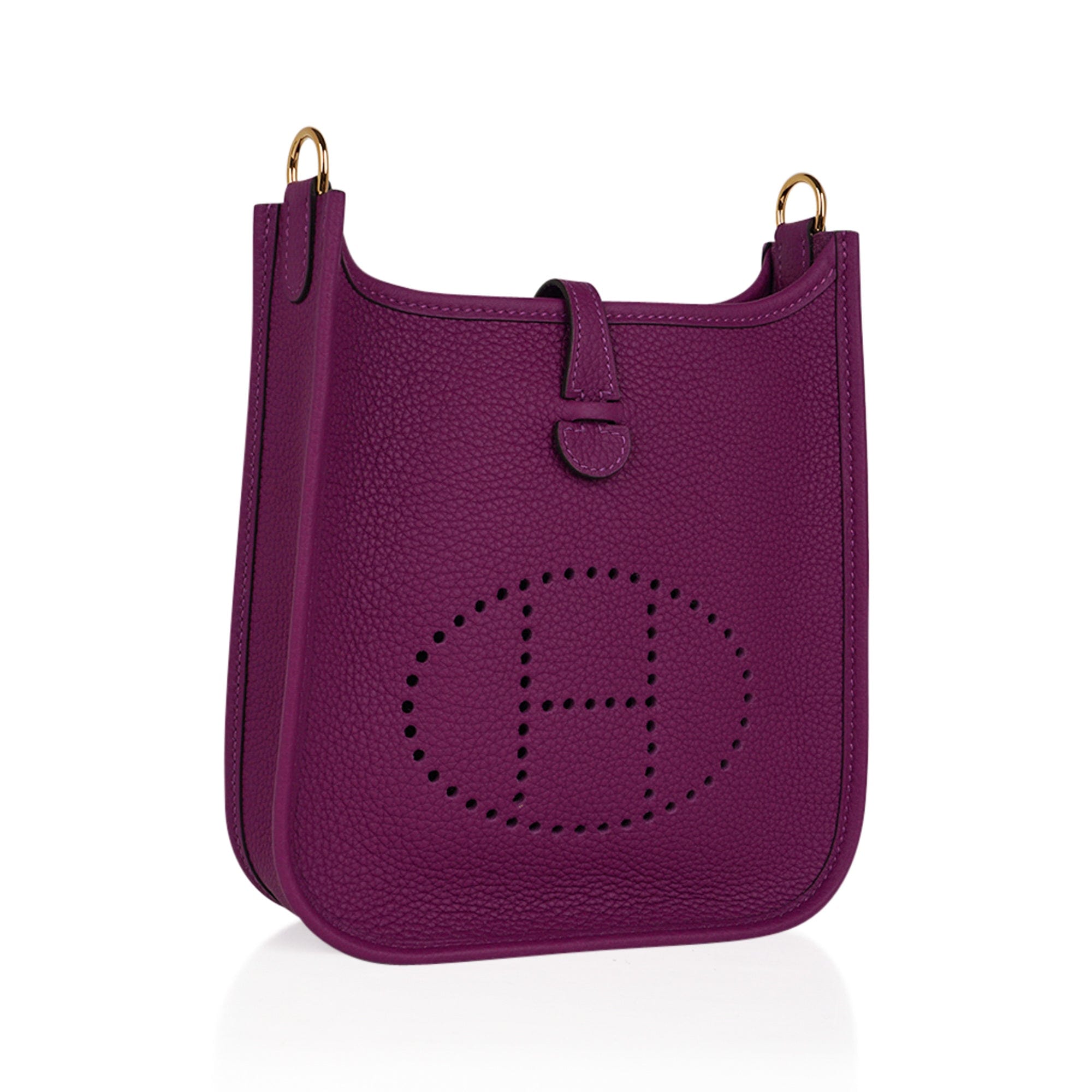 Mini Evelyne III TPM Bag Anemone Maurice Leather with Gold Hardware