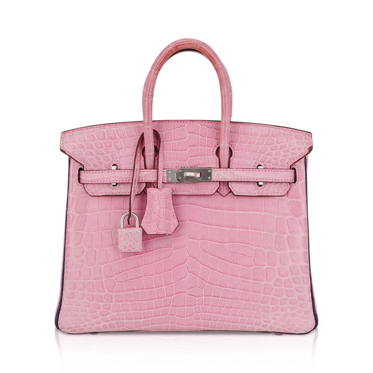 Birkin HSS 25 Bag 5P Pink and Violet Matte Crocodile with Brushed Palladium Hardware