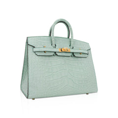 Limited Edition Birkin 20 Sellier Bag Vert D’Eau Matte Alligator with Gold Hardware