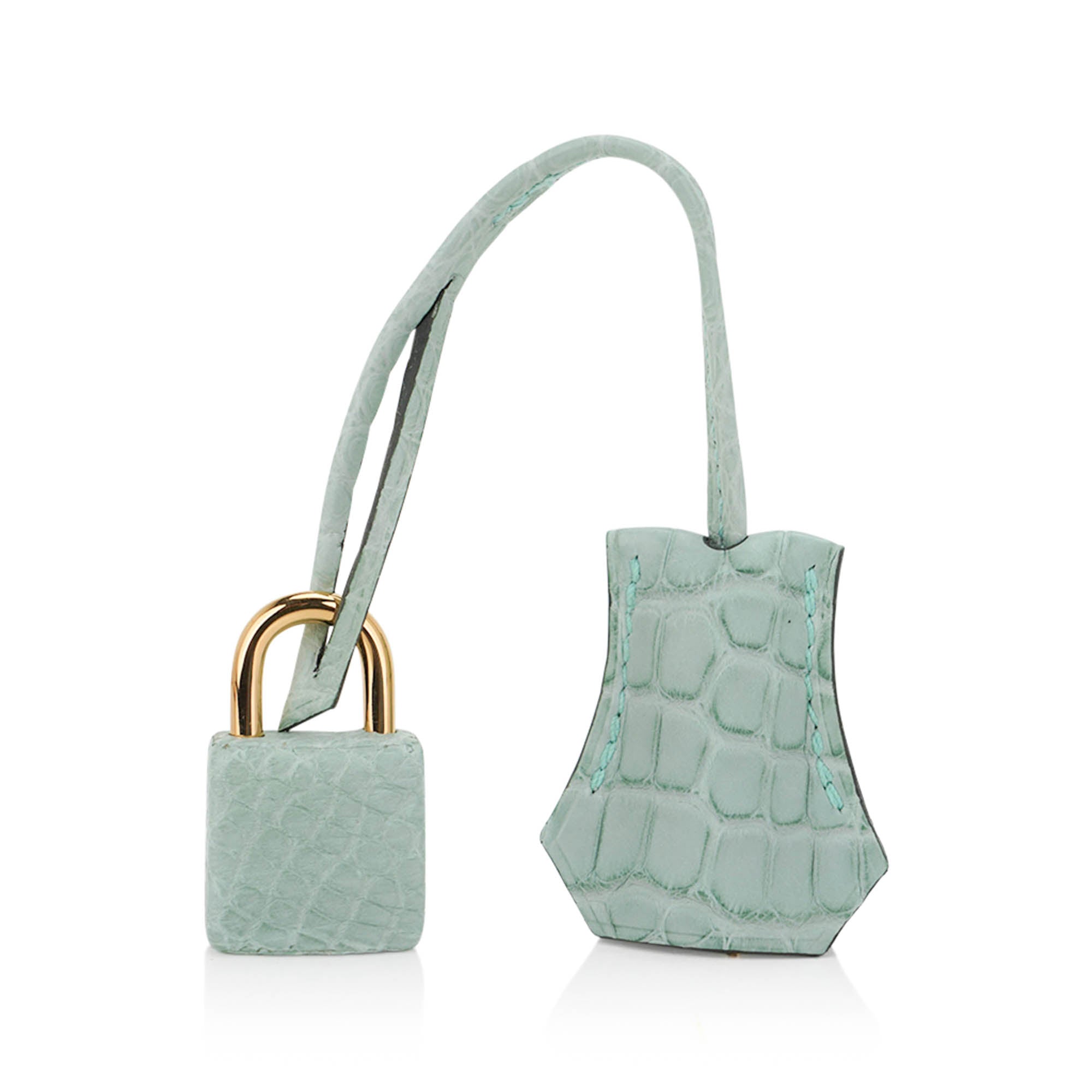 Limited Edition Birkin 20 Sellier Bag Vert D’Eau Matte Alligator with Gold Hardware