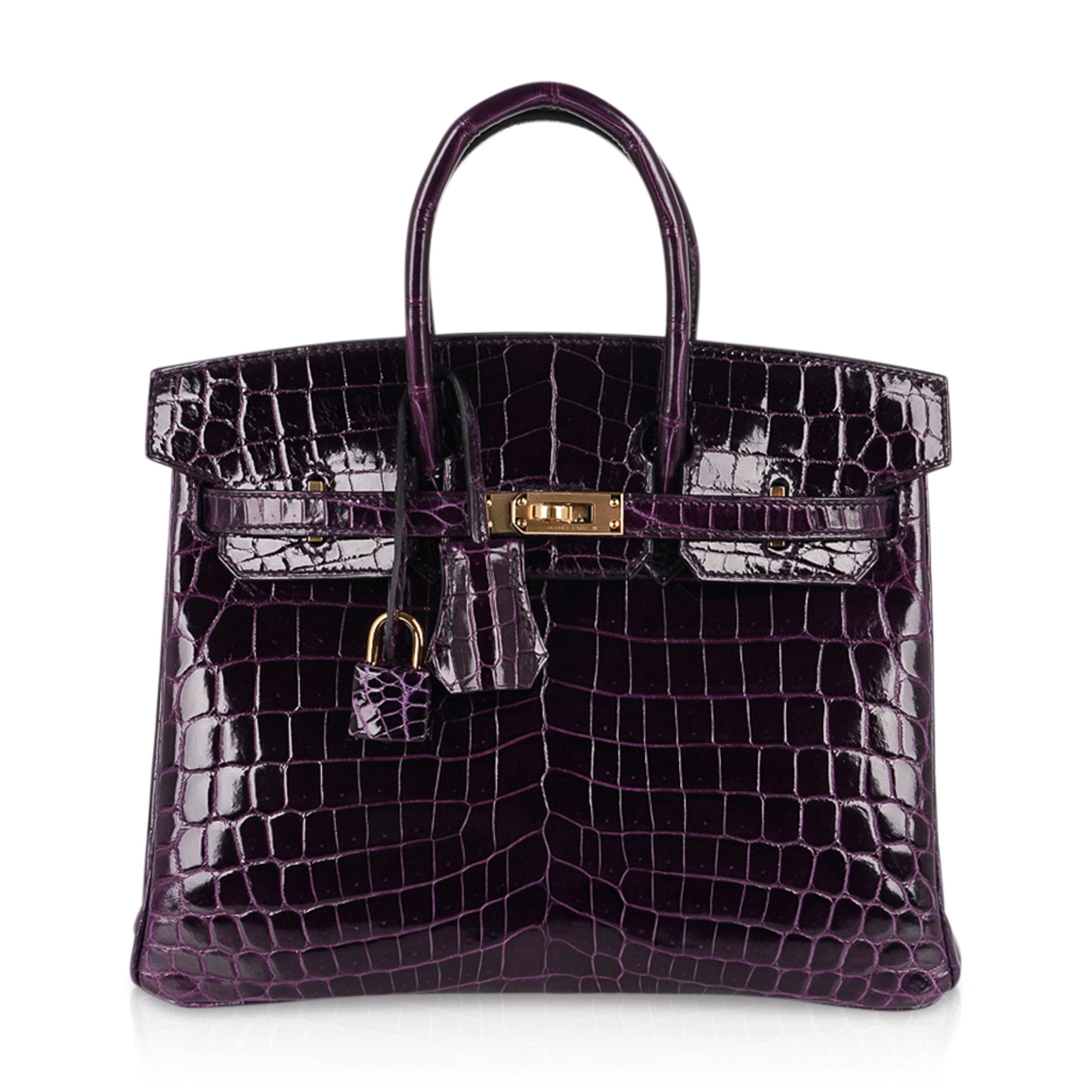 Birkin 25 Bag Aubergine Niloticus Crocodile with Gold Hardware