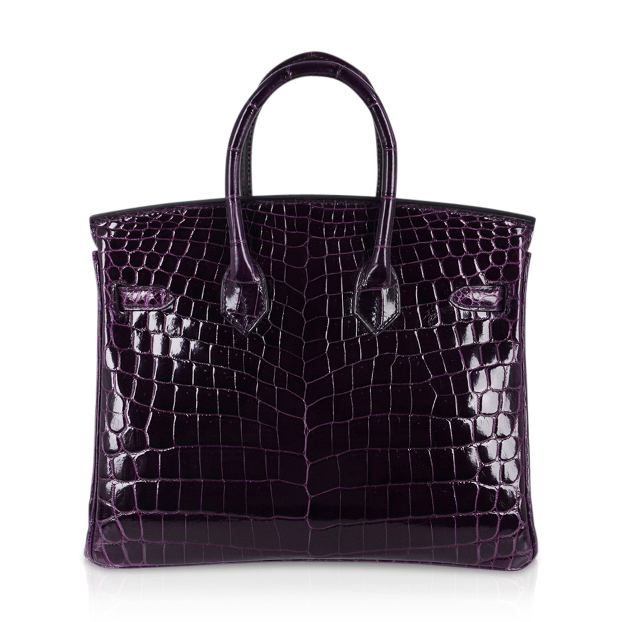 Birkin 25 Bag Aubergine Niloticus Crocodile with Gold Hardware