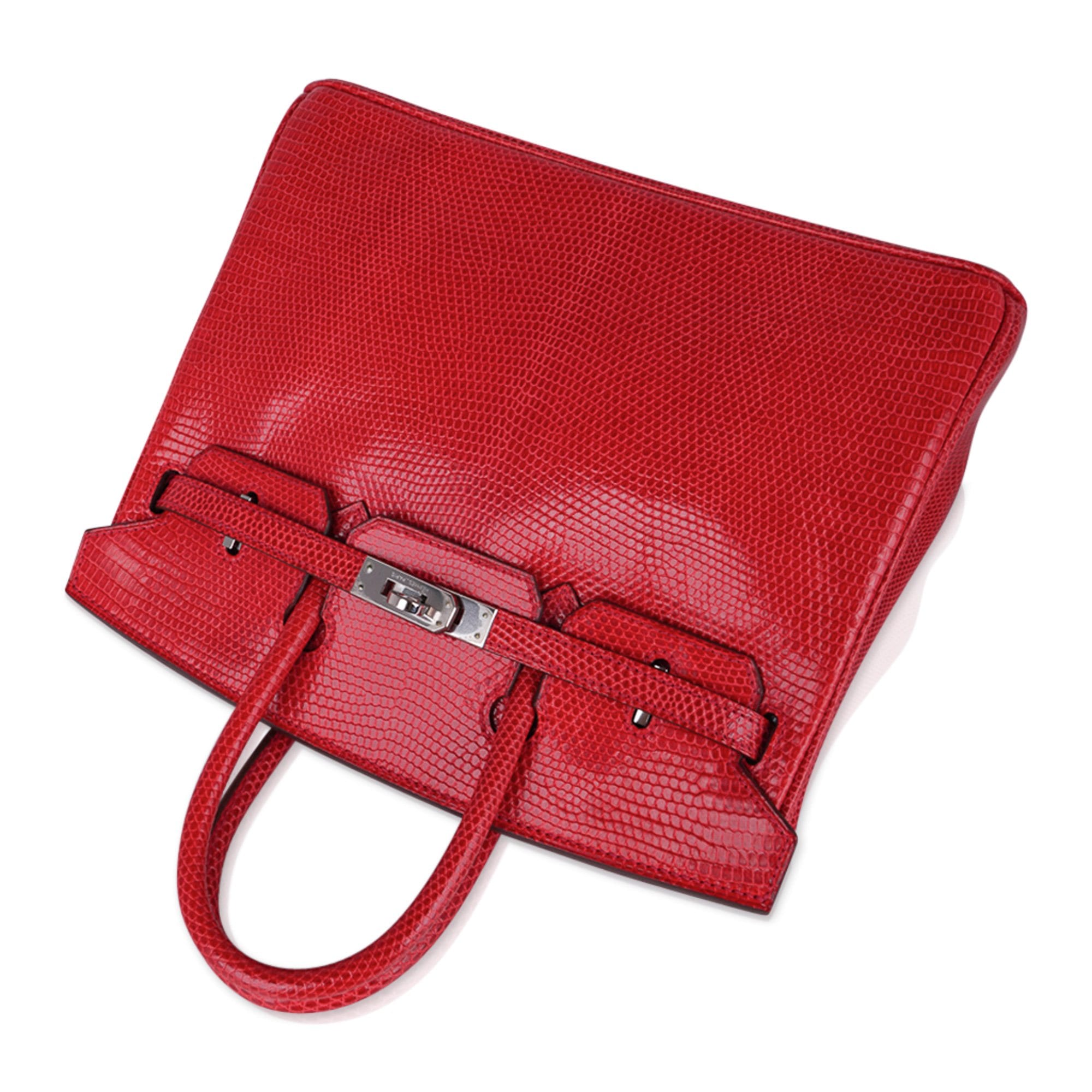 Limited Edition Birkin 25 Bag Rouge Exotic Lizard with Palladium Hardware