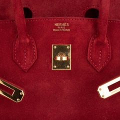 Birkin 25 Doblis Bag Rouge Vif Suede Gold Hardware
