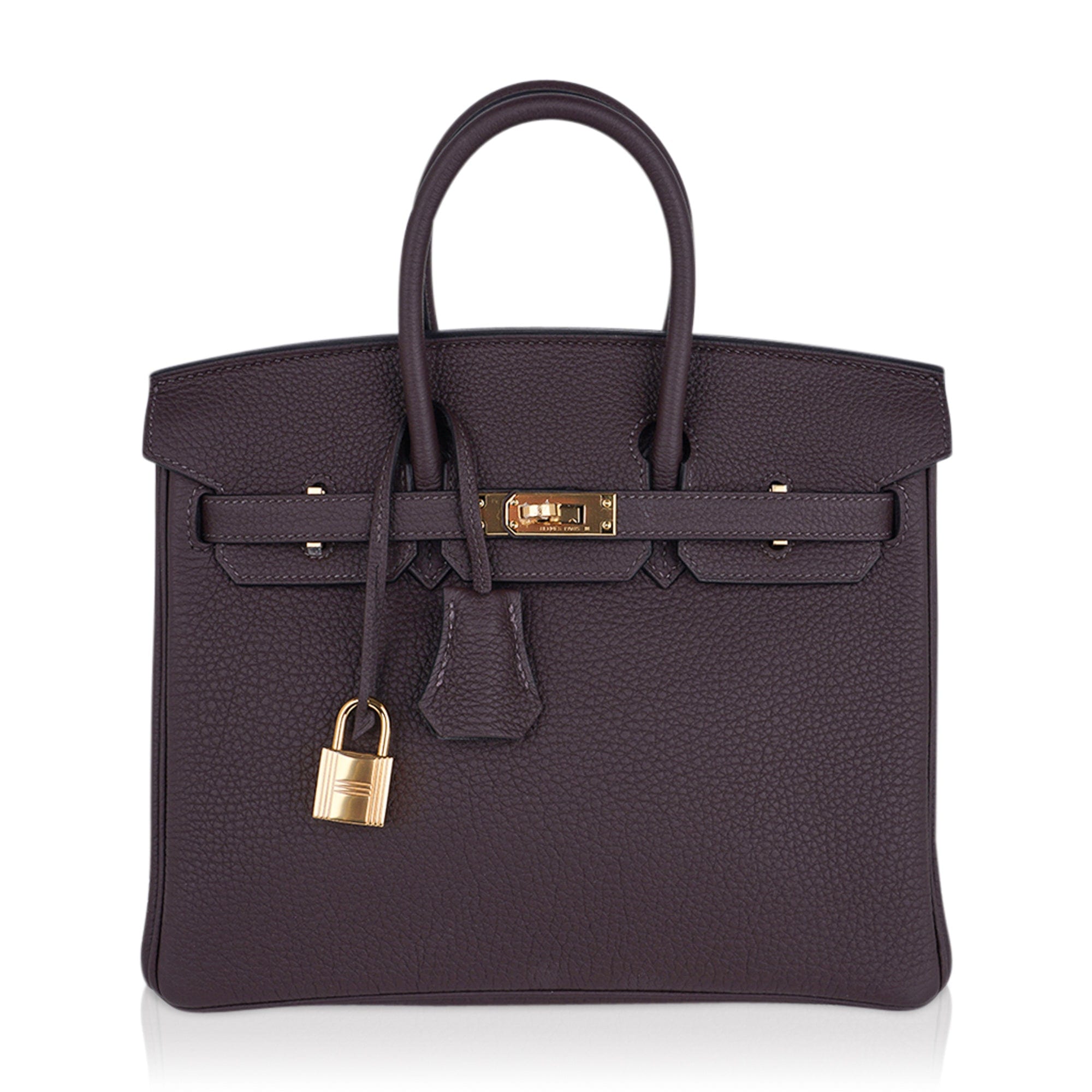 Birkin 25 Bag Chocolat Gold Hardware Togo Leather
