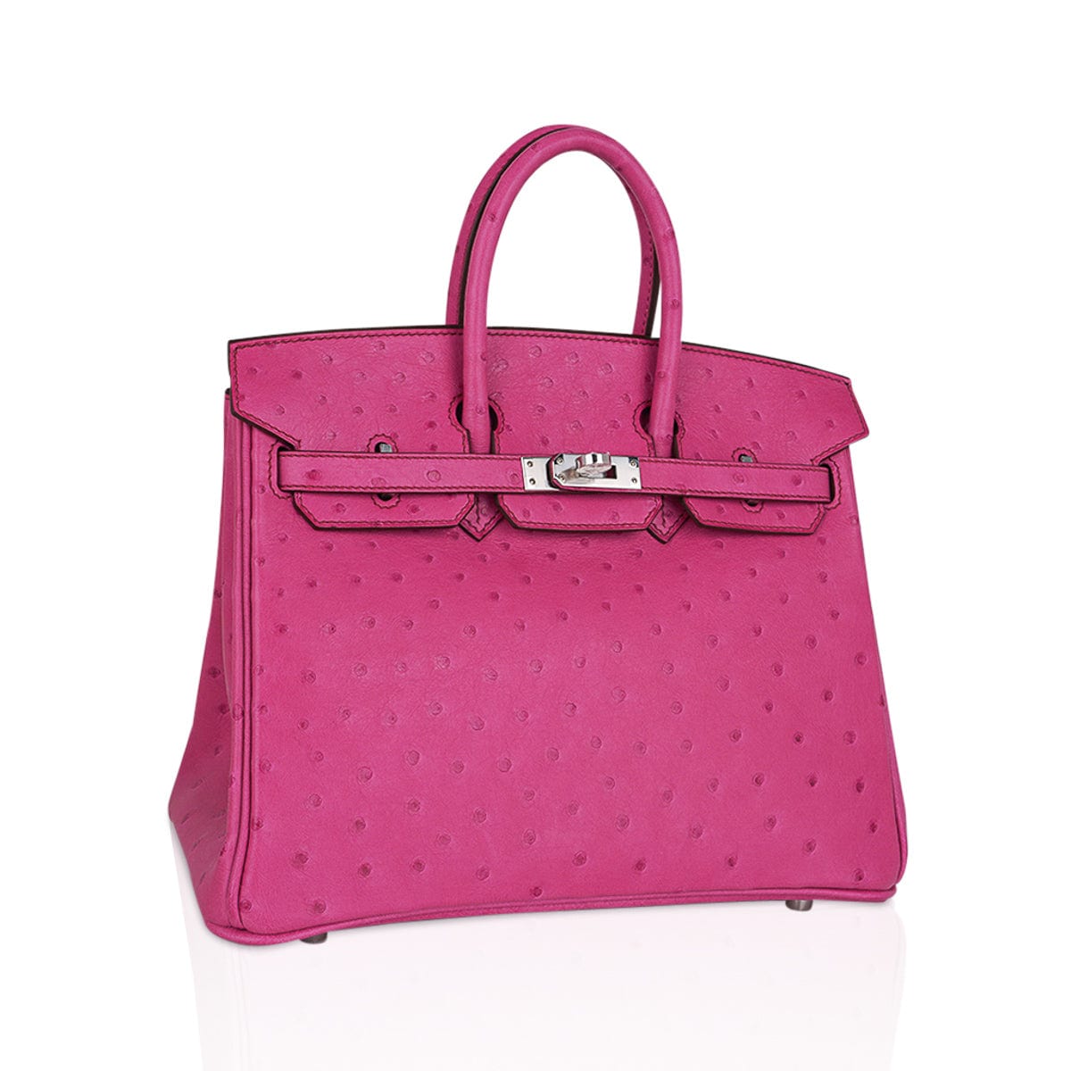 Birkin 25 Bag Fuchsia Ostrich with Palladium Hardware