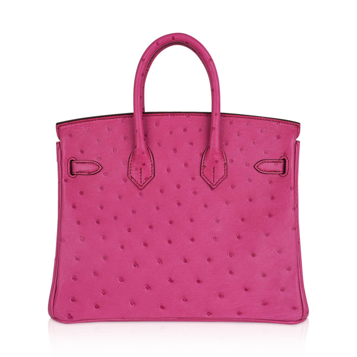 Birkin 25 Bag Fuchsia Ostrich with Palladium Hardware