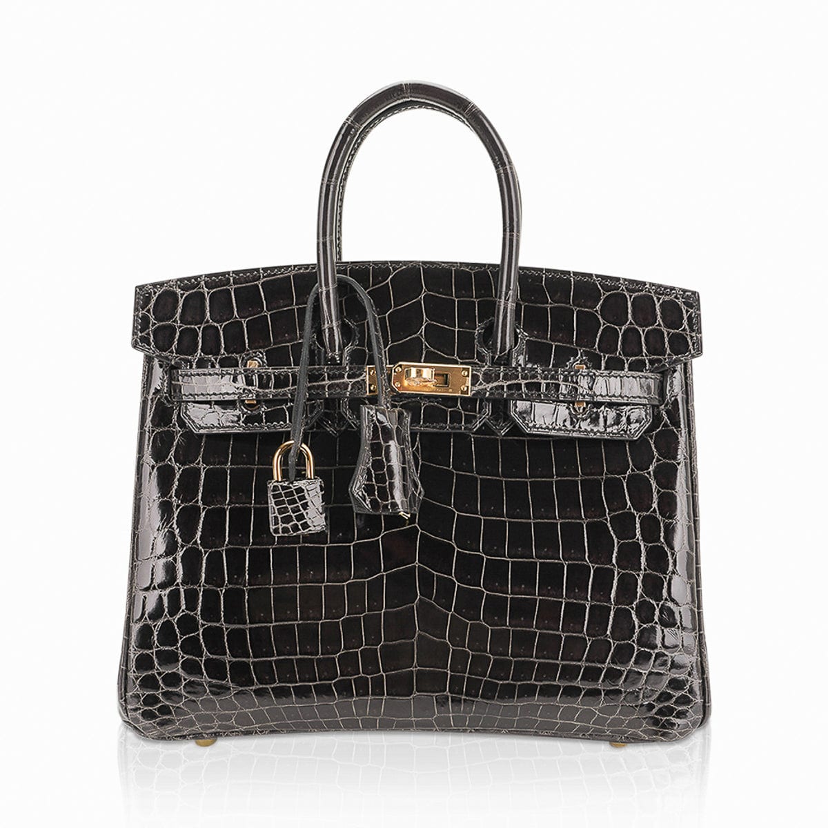 Birkin 25 Bag Graphite Crocodile with Gold Hardware