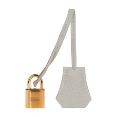 Birkin 25 Bag Gris Perle Togo Gold Hardware
