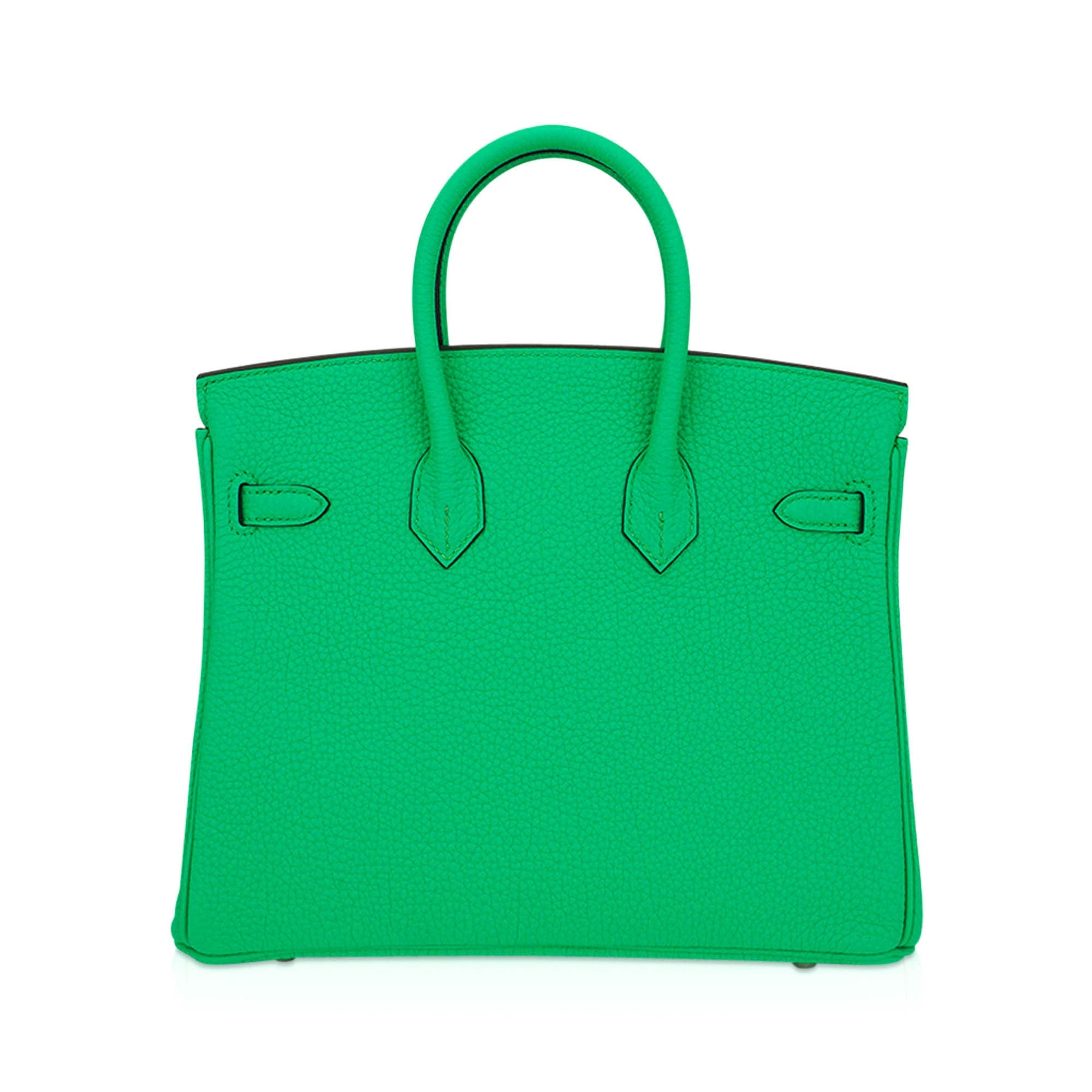 Birkin 25 Bag Vert Comics Togo Leather with Palladium Hardware