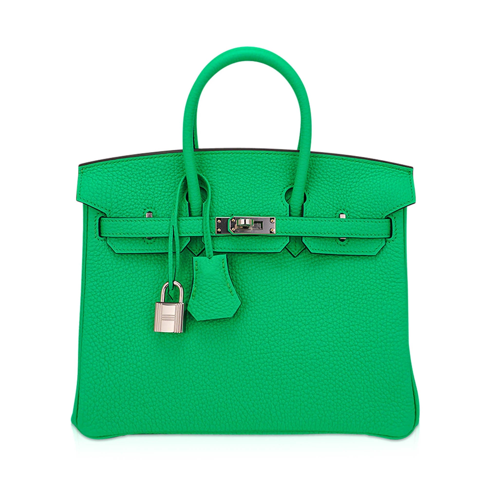 Birkin 25 Bag Vert Comics Togo Leather with Palladium Hardware