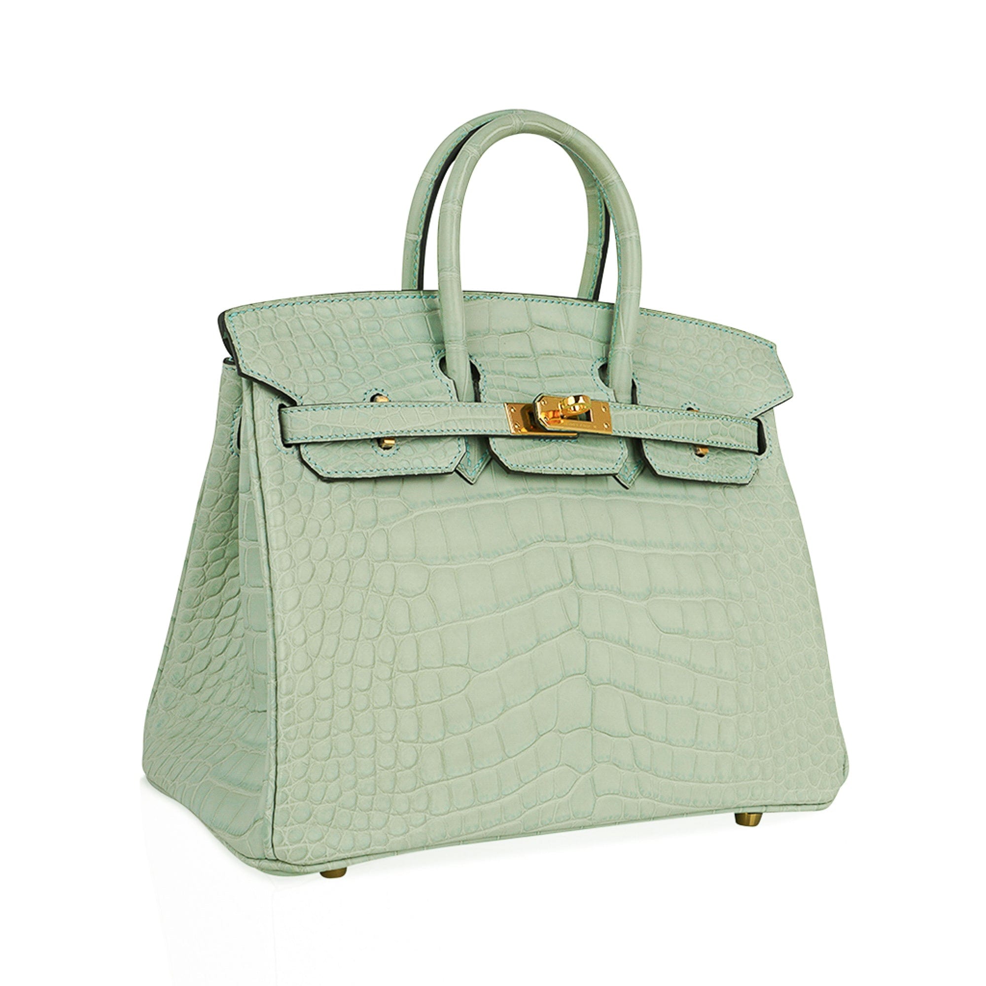 Birkin 25 Bag Vert D’Eau Matte Alligator Gold Hardware Limited Edition