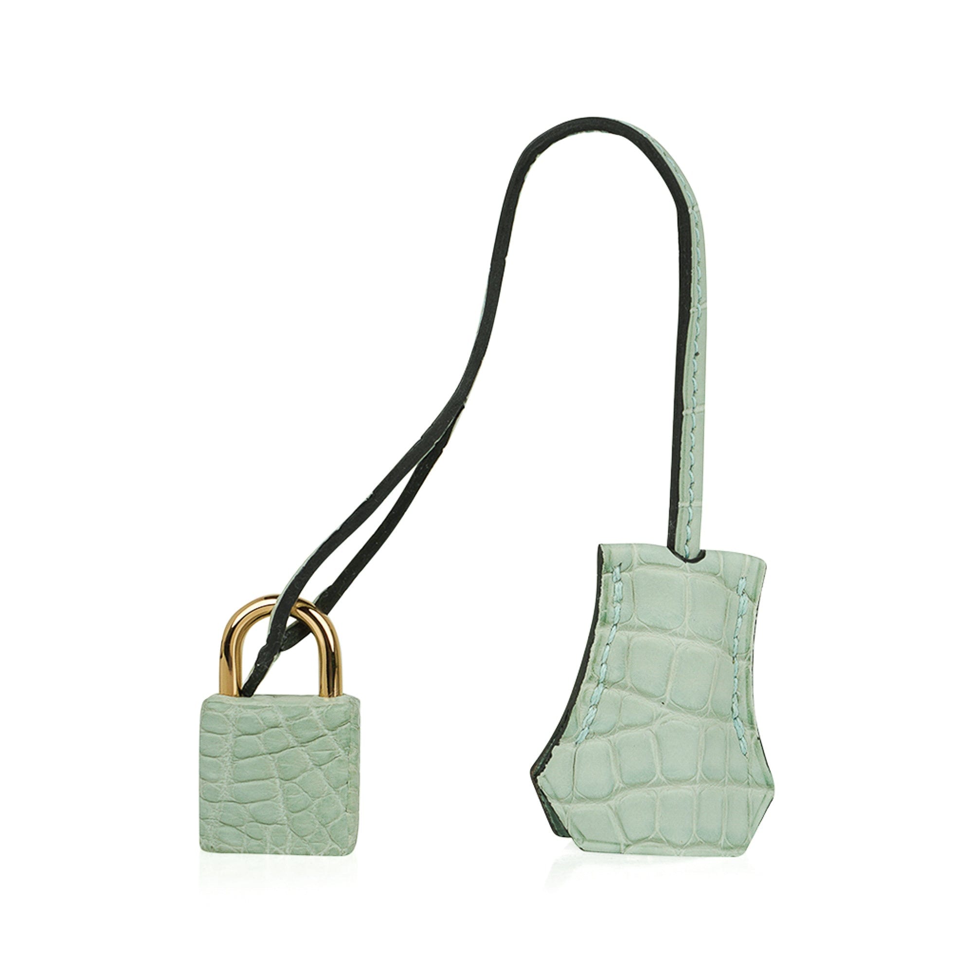 Birkin 25 Bag Vert D’Eau Matte Alligator Gold Hardware Limited Edition