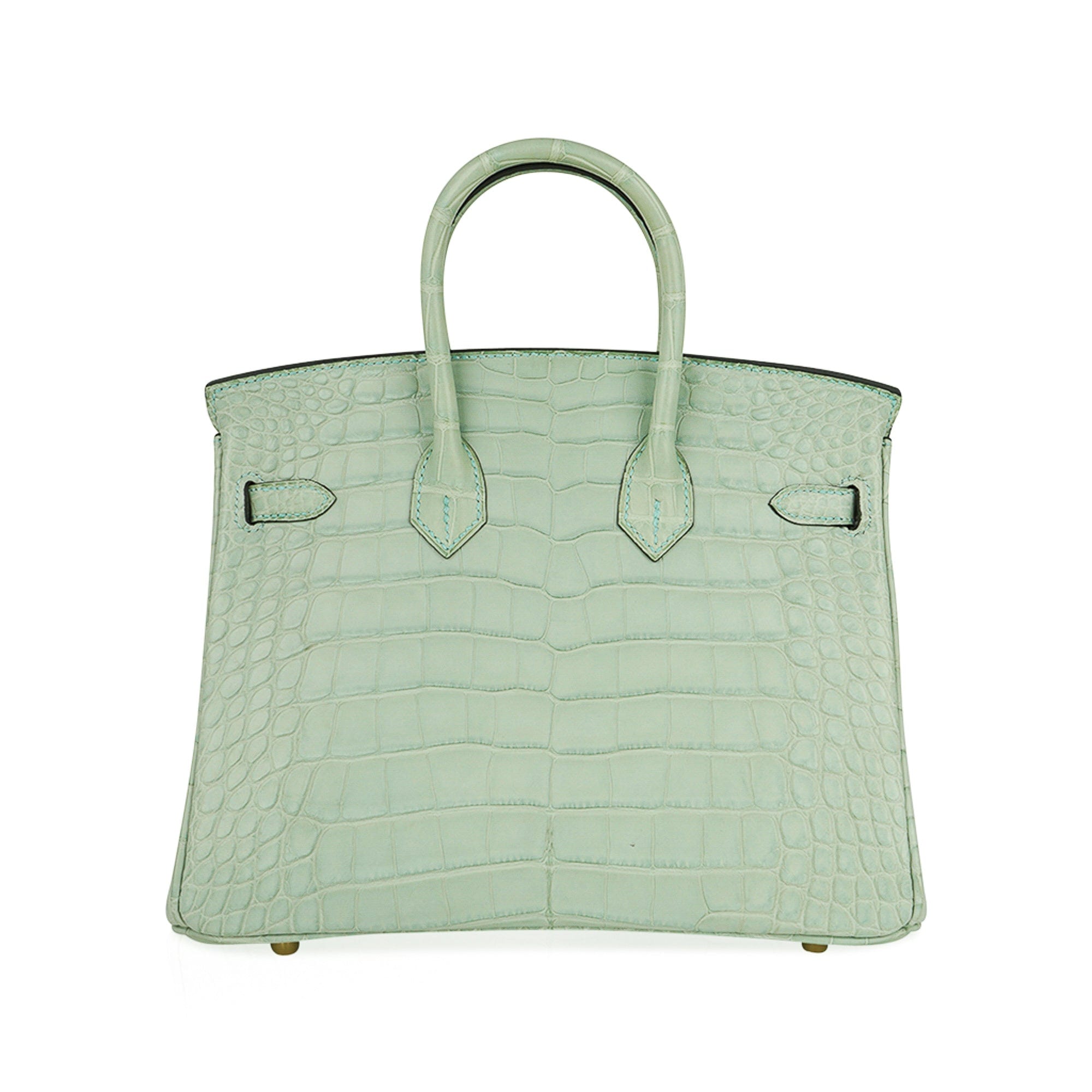 Birkin 25 Bag Vert D’Eau Matte Alligator Gold Hardware Limited Edition