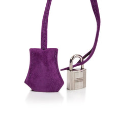 Birkin 30 Bag Rare Doblis Violet Palladium Hardware
