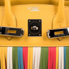 Limited Edition HSS Birkin 30 Bag Soleil Fringe Multi Colour