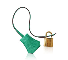 Birkin 30 Bag Tri-Color HSS Rose Sakura Anemone Bamboo Chevre Gold