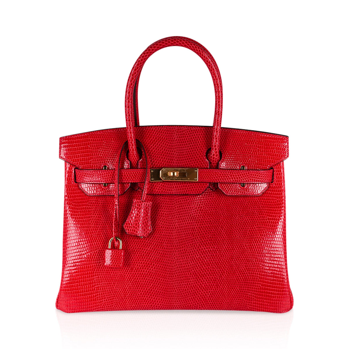 Birkin 30 Bag Rouge Exotique Lizard Limited Edition Gold Hardware Rare