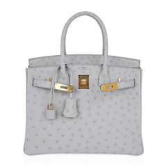 Birkin 30 Bag Gris Perle Ostrich with Gold Hardware