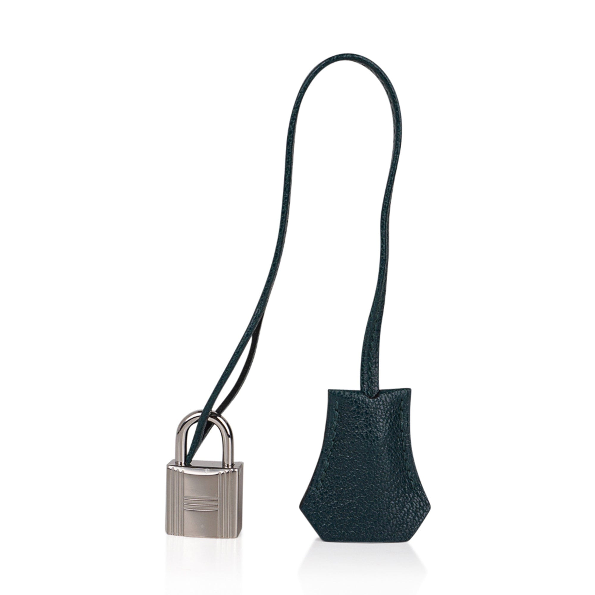 Birkin 30 Bag Vert Cypress Chevre de Coromandel with Palladium Hardware