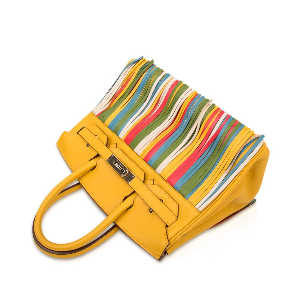 Limited Edition HSS Birkin 30 Bag Soleil Fringe Multi Colour