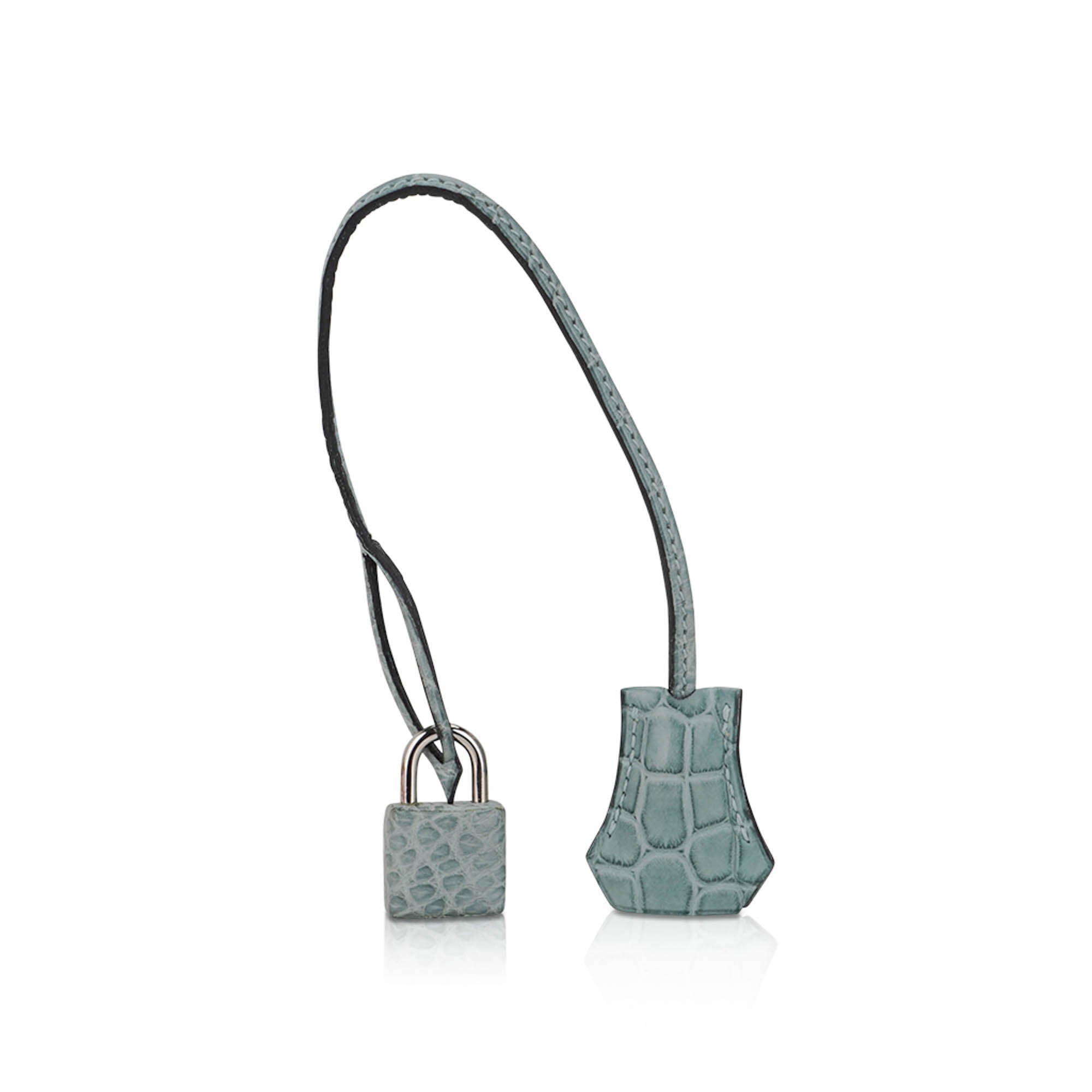 Limited Edition Birkin 35 Bag Ciel Matte Alligator with Palladium Hardware