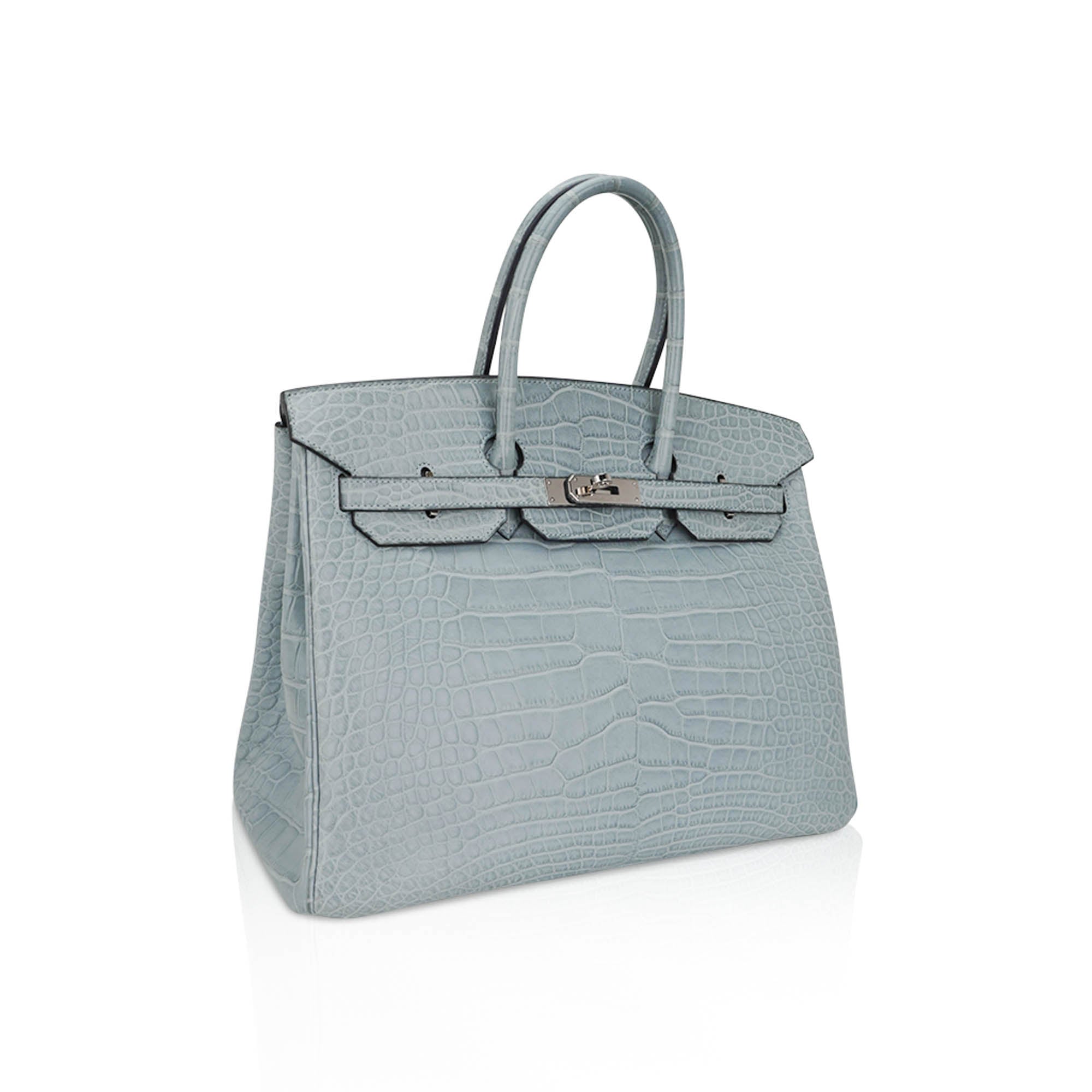 Limited Edition Birkin 35 Bag Ciel Matte Alligator with Palladium Hardware