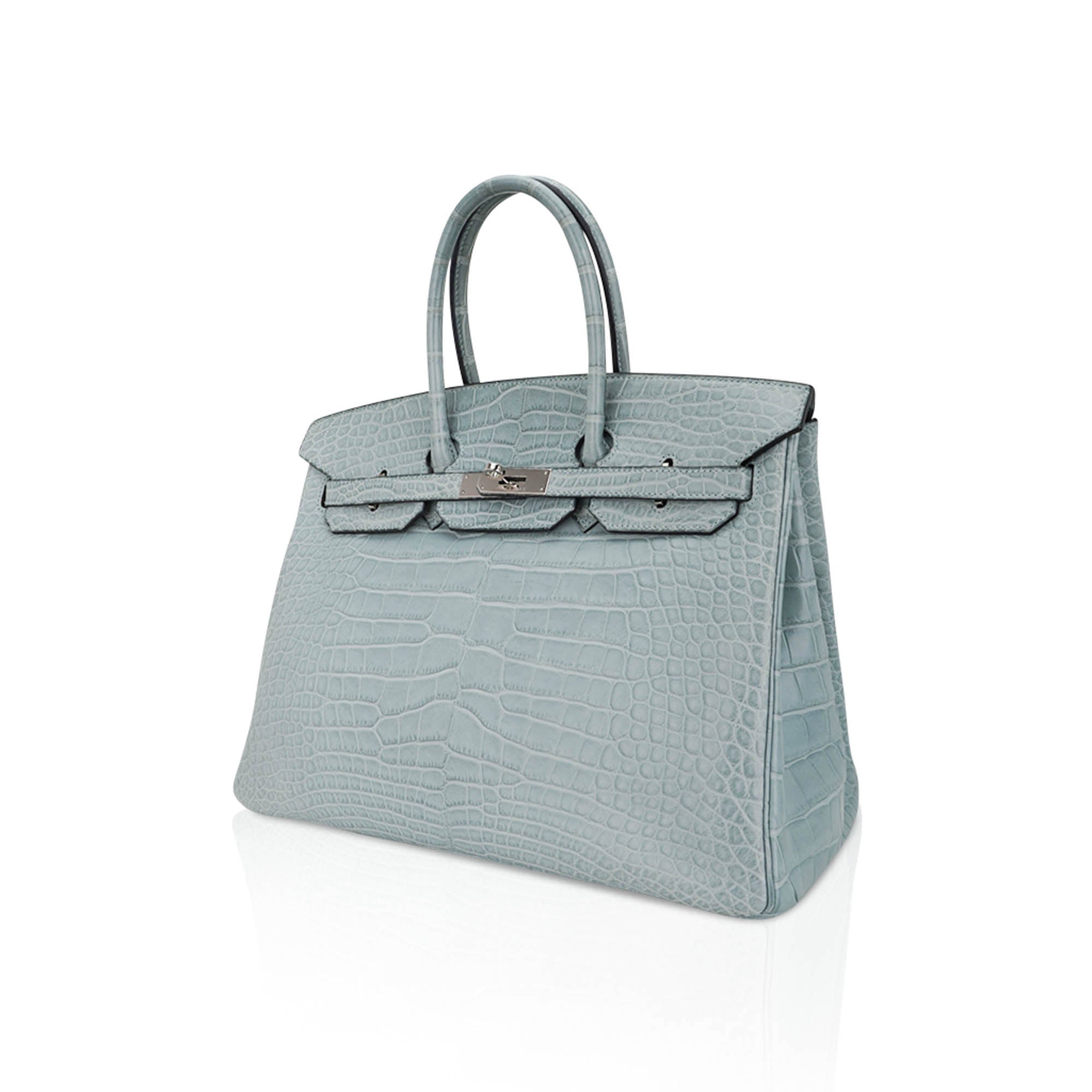Limited Edition Birkin 35 Bag Ciel Matte Alligator with Palladium Hardware
