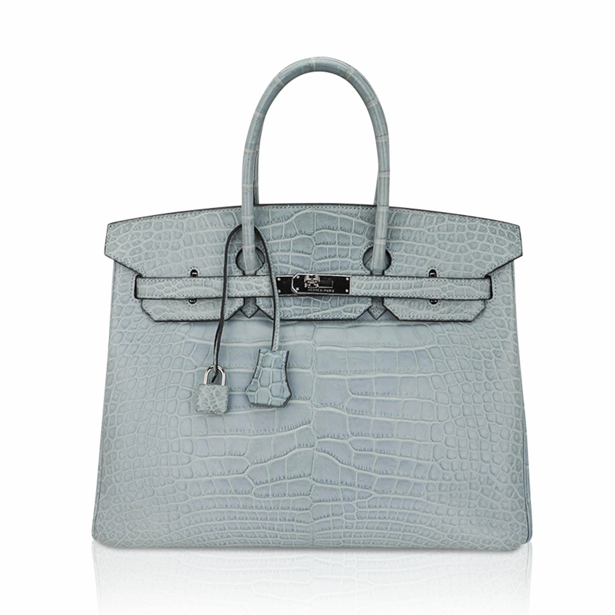 Limited Edition Birkin 35 Bag Ciel Matte Alligator with Palladium Hardware