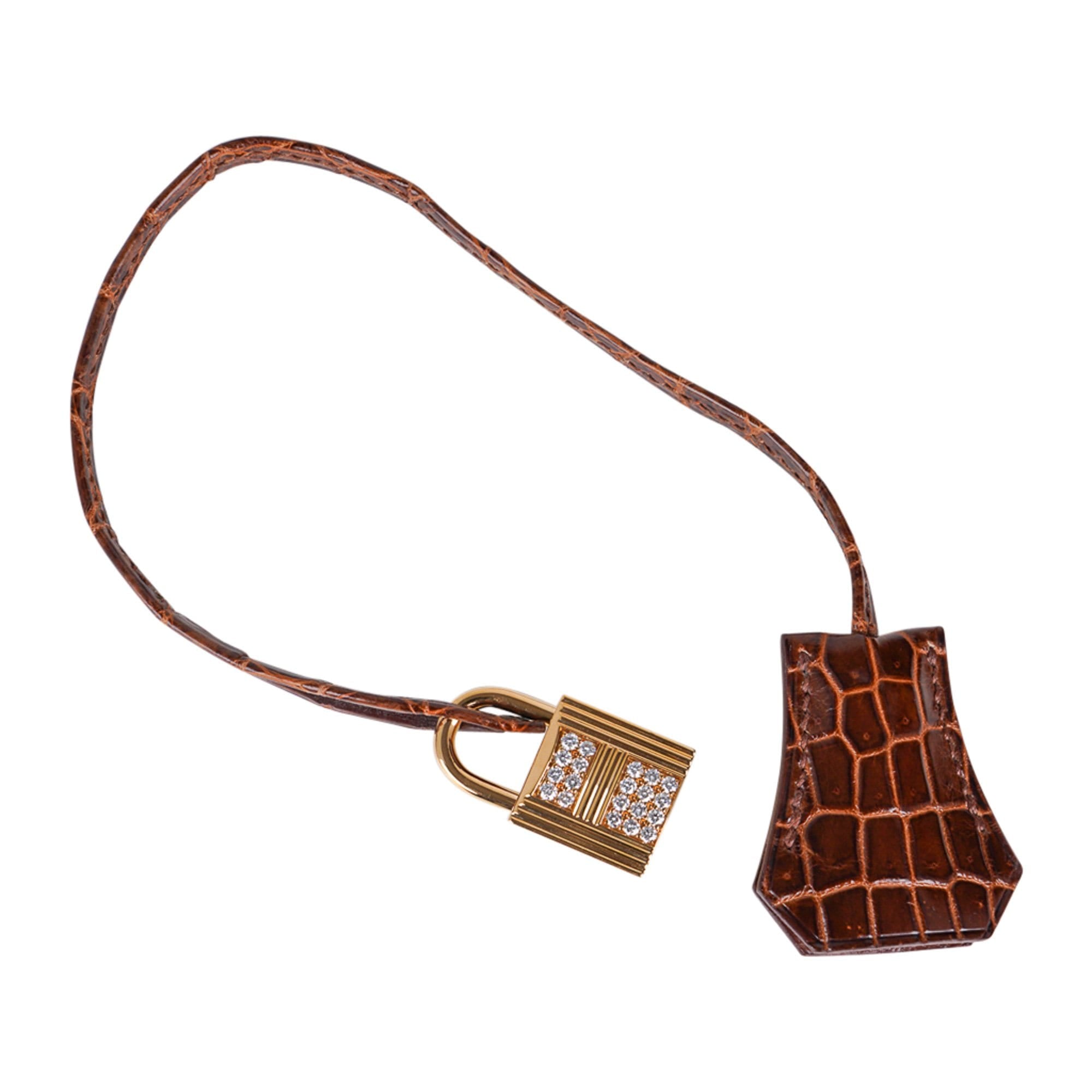 Limited Edition Birkin 35 Bag Diamond Miel Porosus Crocodile with Gold Hardware