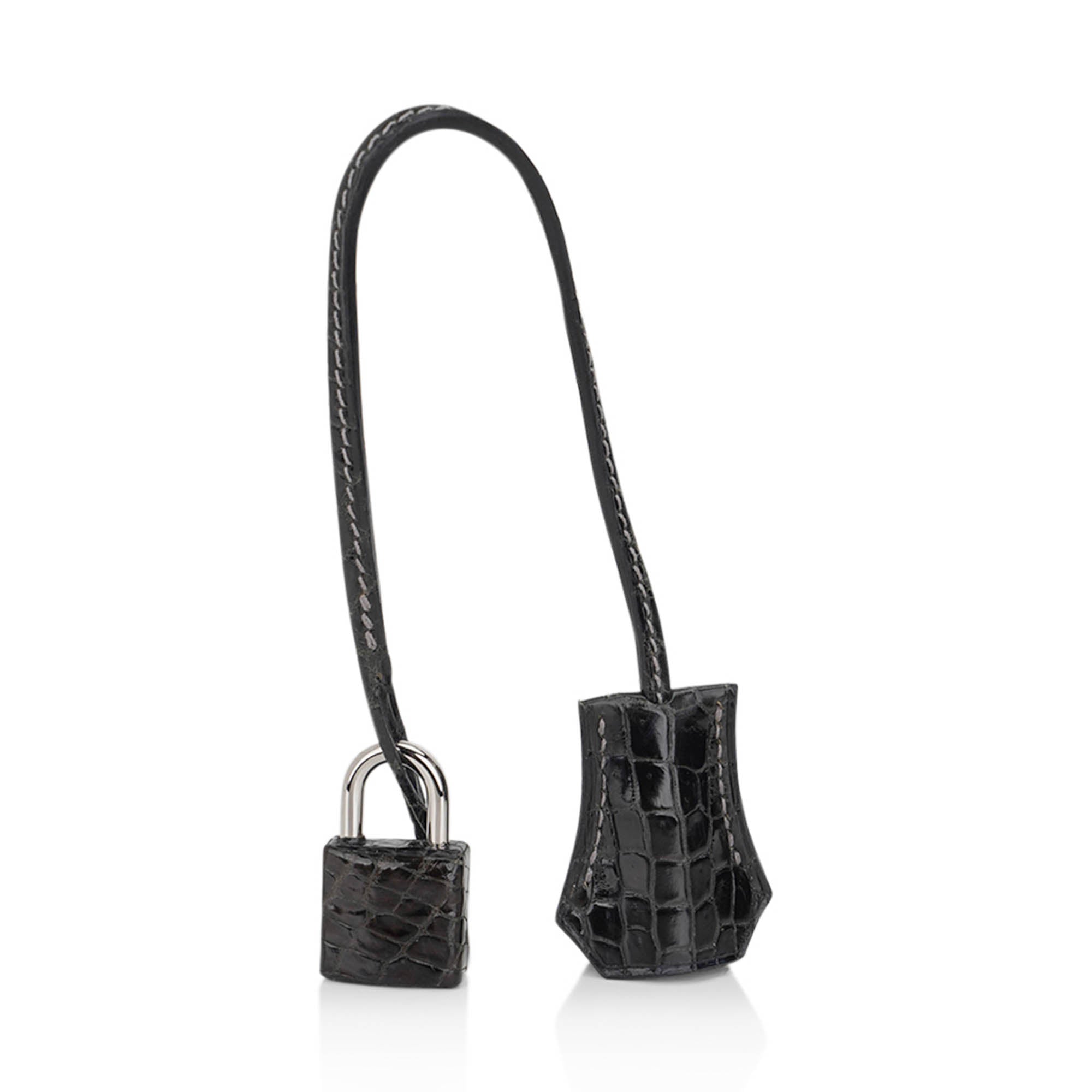 Birkin 35 Graphite Porosus Crocodile with Palladium Hardware