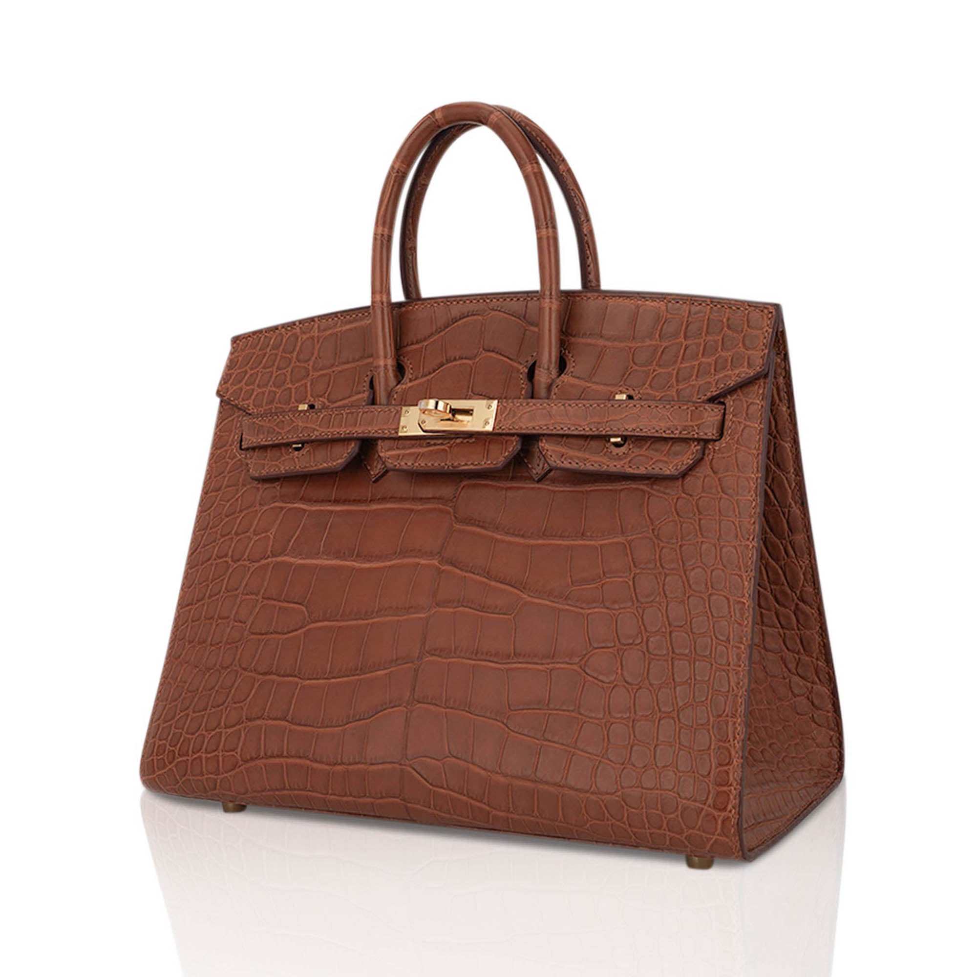 Birkin Sellier 25 Bag Gold Matte Alligator with Gold Hardware
