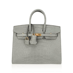Birkin 25 Bag Gris Ciment Matte Alligator with Gold Hardware