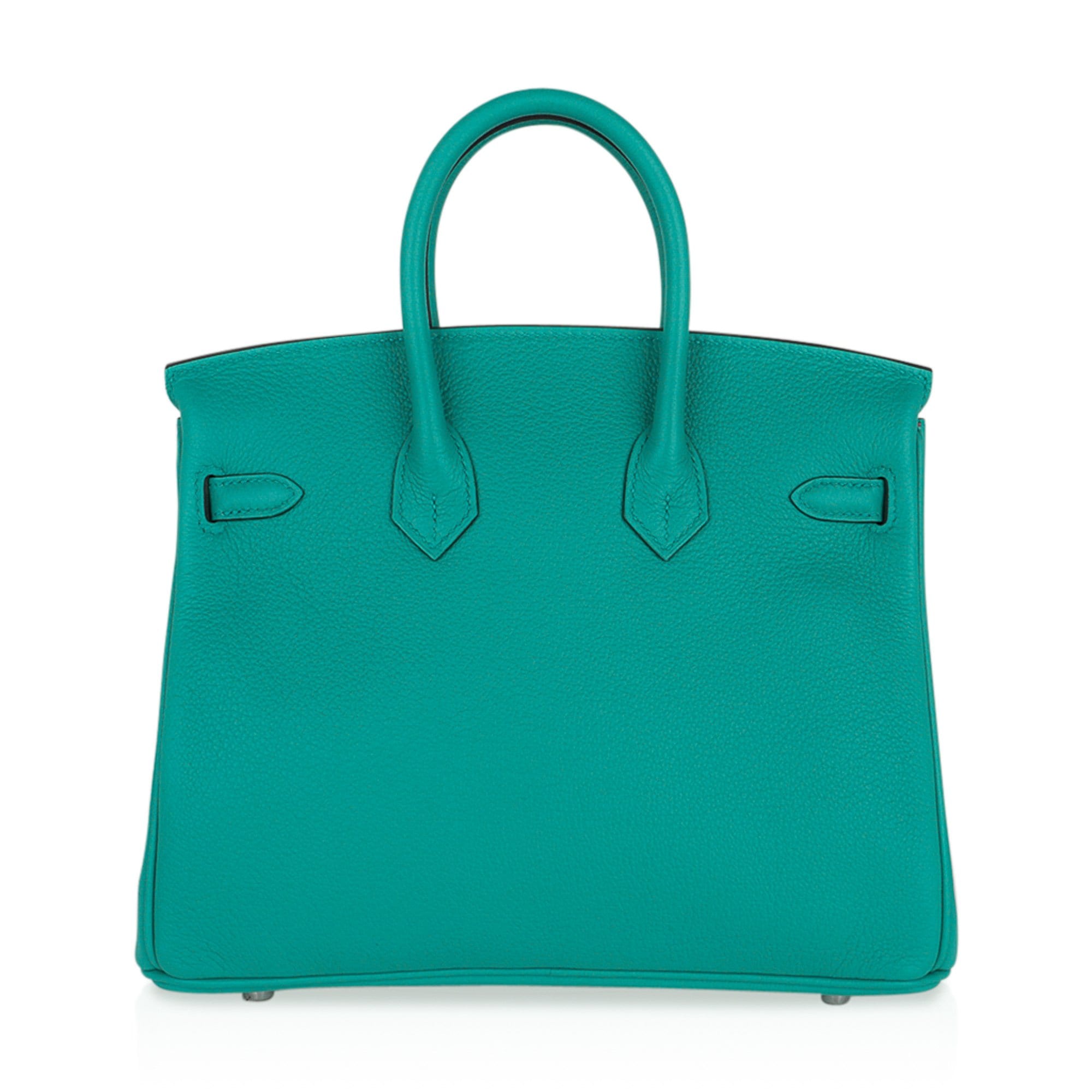 Verso Birkin 25 Bag Vert Verone & Rose Lipstick Novillo Leather with Palladium Hardware