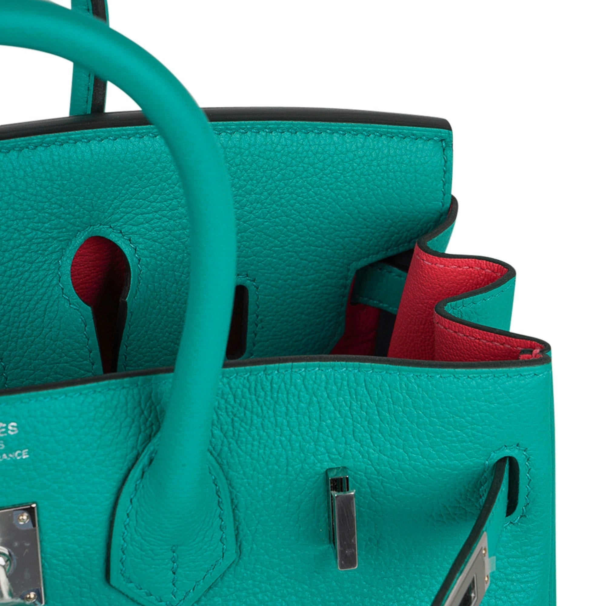 Verso Birkin 25 Bag Vert Verone & Rose Lipstick Novillo Leather with Palladium Hardware