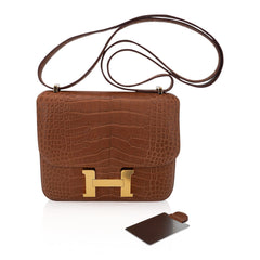 Mini Constance 18 Mirror Bag Gold Matte Alligator with Gold Hardware