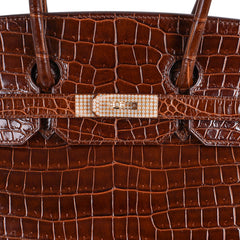 Limited Edition Birkin 35 Bag Diamond Miel Porosus Crocodile with Gold Hardware