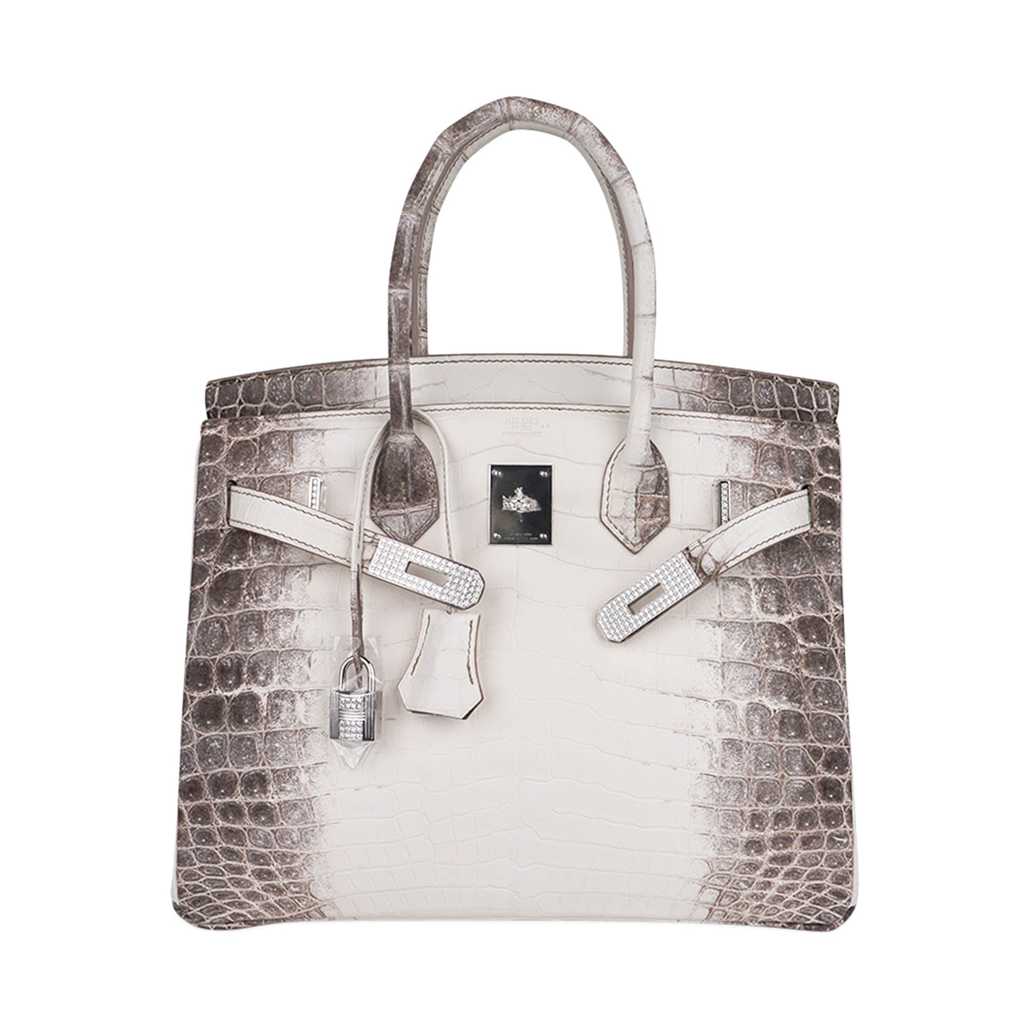 Birkin 30 Bag Diamond Himalaya Blanc Matte Niloticus Crocodile with 18k White Gold Hardware