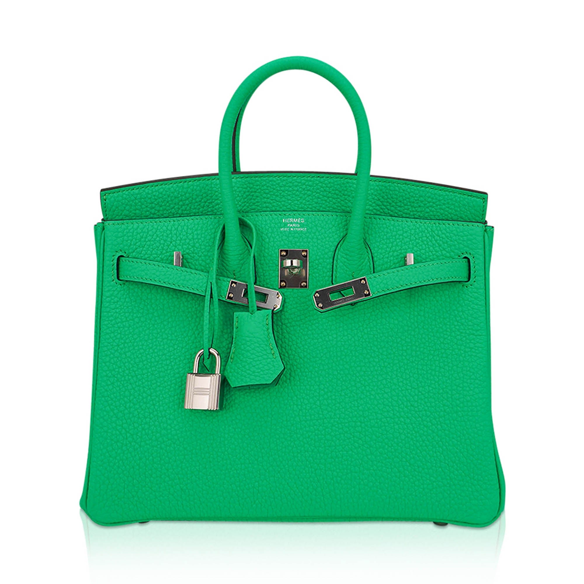 Birkin 25 Bag Vert Comics Togo Leather with Palladium Hardware