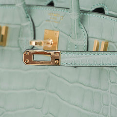 Limited Edition Birkin 20 Sellier Bag Vert D’Eau Matte Alligator with Gold Hardware