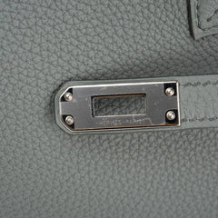 Birkin 25 Bag Vert Amande Togo Palladium Hardware