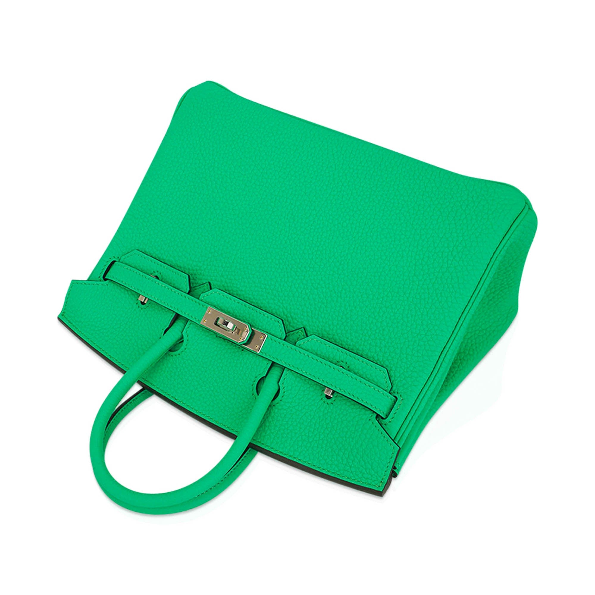Birkin 25 Bag Vert Comics Togo Leather with Palladium Hardware