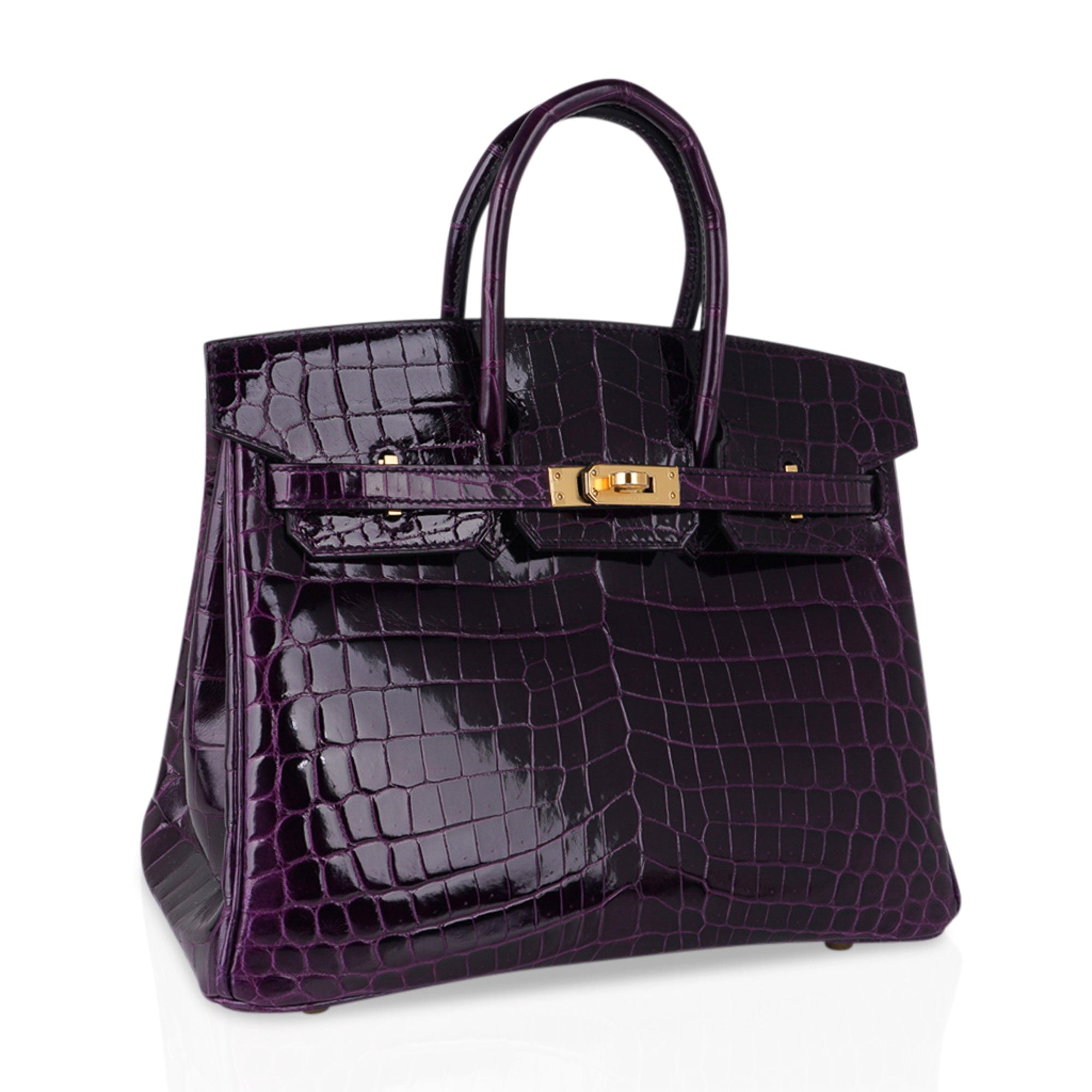 Birkin 25 Bag Aubergine Niloticus Crocodile with Gold Hardware